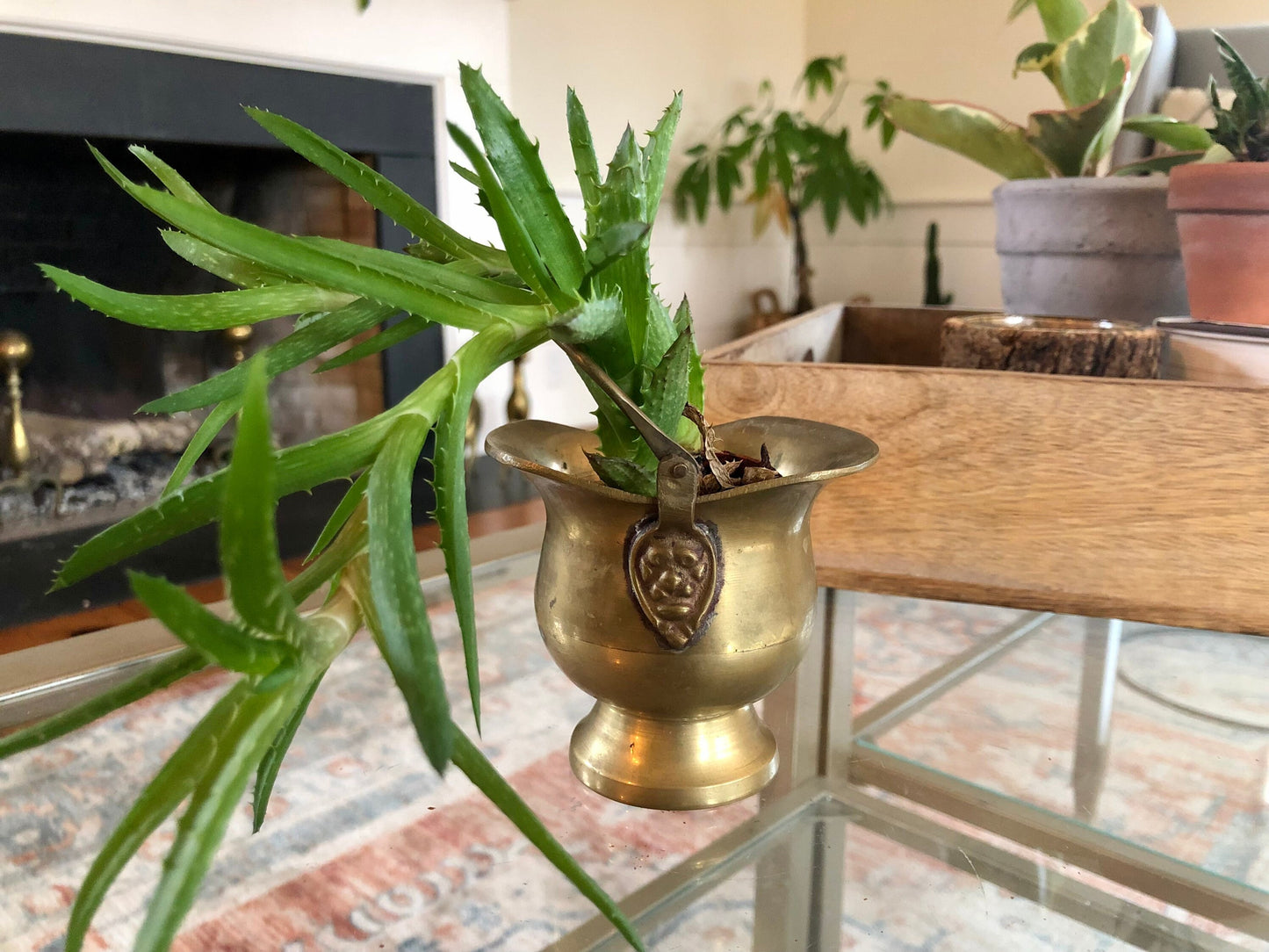 Antique Brass Mini Ash Pail, Planter, Pot, Bucket With Handle, Farmhouse Home Decor, Country French Decor, Copper Kitchen Campfire Pot